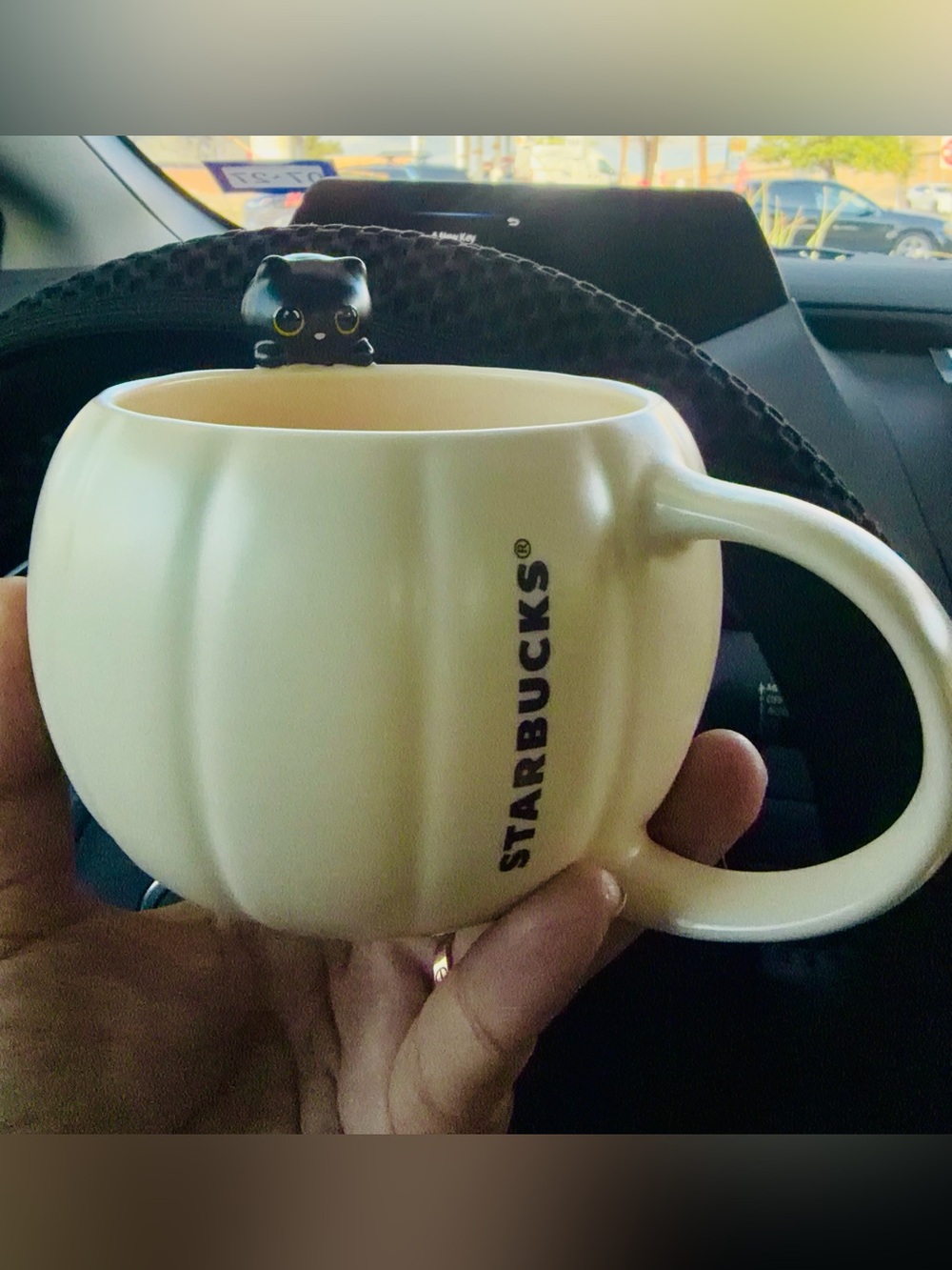 Starbucks Cream Pumpkin Mug with Cat Lid Accent